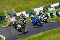 cadwell-no-limits-trackday;cadwell-park;cadwell-park-photographs;cadwell-trackday-photographs;enduro-digital-images;event-digital-images;eventdigitalimages;no-limits-trackdays;peter-wileman-photography;racing-digital-images;trackday-digital-images;trackday-photos